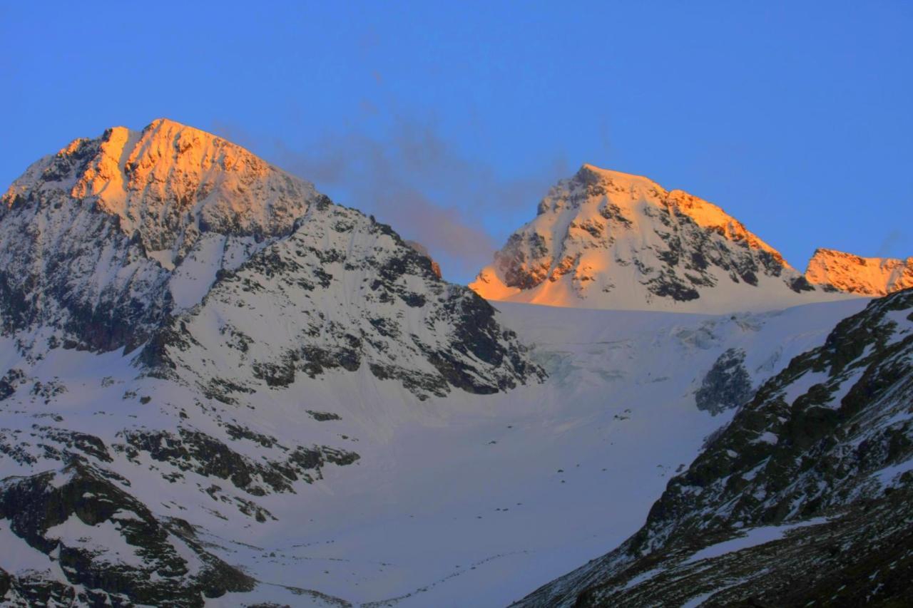 Alp-aren - Silvretta Card Premium Betrieb Apartment Galtuer